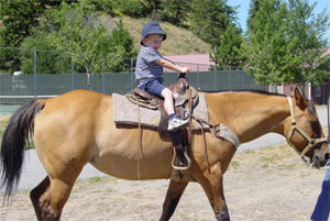 Cameron and Petunia