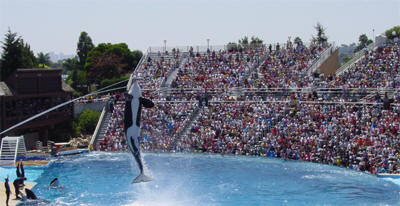 Sea World