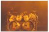 Photo of Neil Peart by M. Hayden