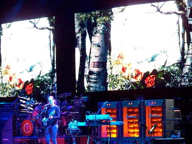 100_2366.jpg
