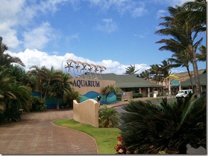 Outside the Maui Ocean Center. Check out those wind turbines!