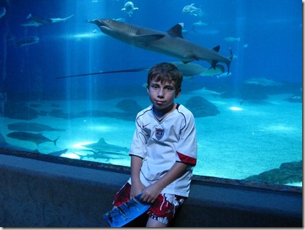 Cameron and a hammerhead shark