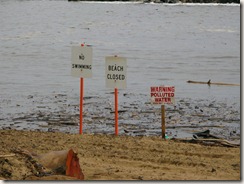 No swimming at Lydgate park No swimming at Lydgate park