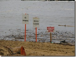 No swimming at Lydgate park