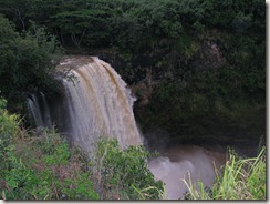 Waimea Falls runneth over