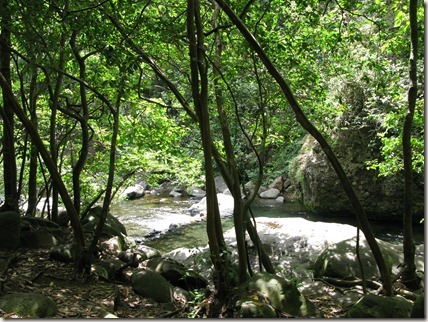 Iao Valley stream