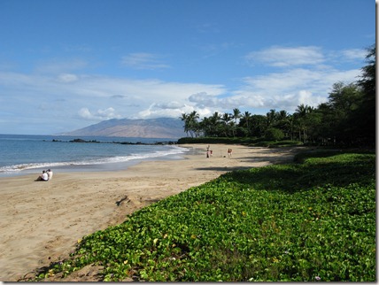 Palauea Beach