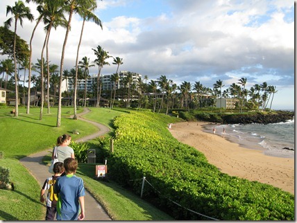 Picture of Wailea