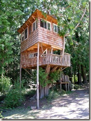 Tree house of Orcas Island Pottery