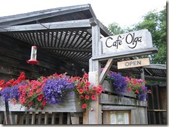 Cafe Olga